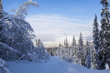 Winter landscape in Pallas Yllastunturi National Park, Lapland, northern Finland.
