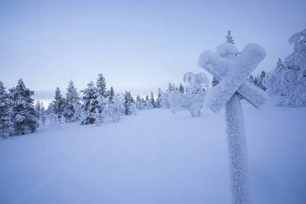 Winterlandschaft Pallas Yllastunturi Nationalpark Lappland Finnland — Stockfoto