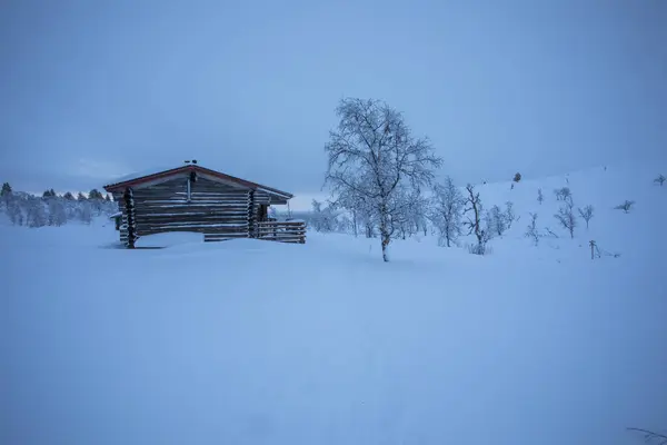 Χιονοδρομική Αποστολή Στο Εθνικό Πάρκο Pallas Yllastunturi Λαπωνία Φινλανδία — Φωτογραφία Αρχείου