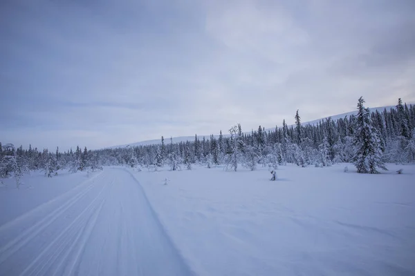 Zimní Krajina Národním Parku Pallas Yllastunturi Laponsko Finsko — Stock fotografie