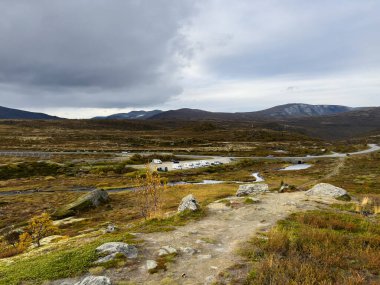 Norveç 'teki Dovrefjell Ulusal Parkı' nda sonbahar manzarası. Avrupa
