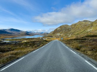 Norveç 'in güneyinde Trondheim' dan Oslo yoluna sonbahar yolu