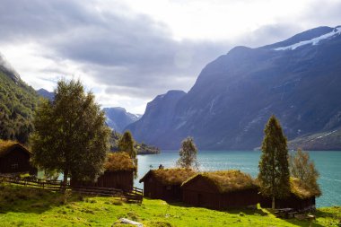 Norveç 'in güneyindeki Lovatnet Gölü Vadisi' nde geleneksel evler Avrupa 'da