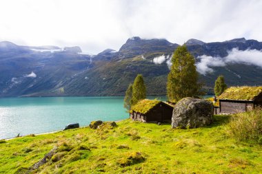 Norveç 'in güneyindeki Lovatnet Gölü Vadisi' nde geleneksel evler Avrupa 'da