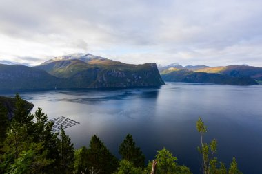 Norveç 'in güneyinde Bergen' den Alesund yoluna sonbahar manzarası