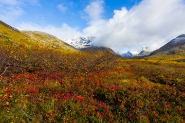 Norveç 'in güneyindeki Trollstigen yolunda sonbahar manzarası