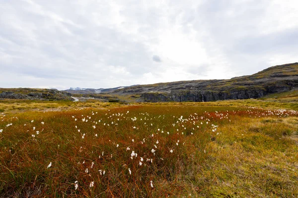 Осінній Пейзаж Стейгастині Точка Дороги Півдні Норвегії — стокове фото