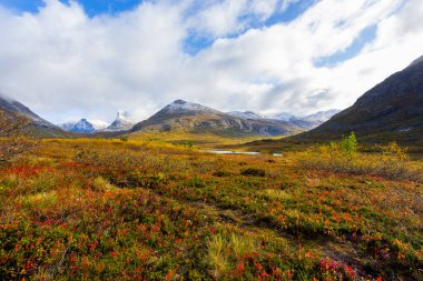 Norveç 'in güneyindeki Trollstigen yolunda sonbahar manzarası