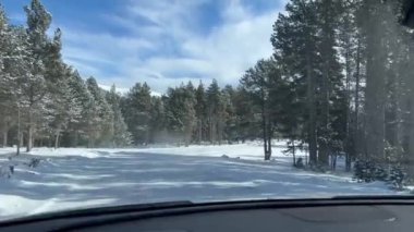 Lles de Cerdanya, La Cerdanya, Pireneler, İspanya 'da karla kaplı yol, çam ağaçları ve dağlarla çevrili..