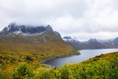 Norveç 'teki Senja Adası' nın sonbahar manzarası. Renkli yaprakları, dağları ve dingin fiyortları var..
