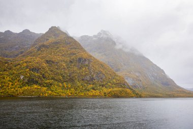 Lofoten Adaları, Norveç 'te sonbahar manzarası, renkli yeşillikler ve barışçıl fiyort içerir..