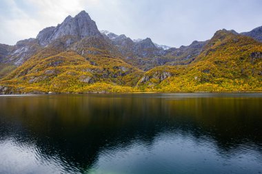 Lofoten Adaları, Norveç 'te sonbahar manzarası, renkli yeşillikler ve barışçıl fiyort içerir..
