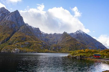 Lofoten Adaları, Norveç 'te sonbahar manzarası, renkli yeşillikler ve barışçıl fiyort içerir..