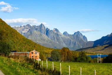 Lofoten Adaları, Norveç 'te sonbahar manzarası, renkli yeşillikler ve barışçıl fiyort içerir..