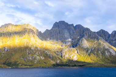 Lofoten Adaları, Norveç 'te sonbahar manzarası, renkli yeşillikler ve barışçıl fiyort içerir..