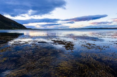 Lofoten Adaları, Norveç 'te sonbahar manzarası, renkli yeşillikler ve barışçıl fiyort içerir..
