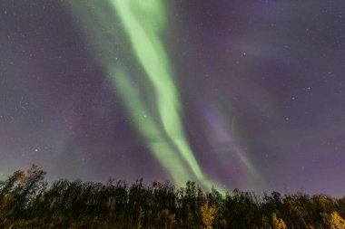 İsveç 'in Kiruna kentindeki kuzey ışıkları Eylül ayında sakin suları yıldızlar ve ormanlarla yansıtıyor..