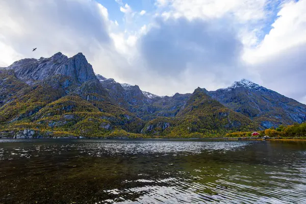 Lofoten Adaları, Norveç 'te sonbahar manzarası, renkli yeşillikler ve barışçıl fiyort içerir..