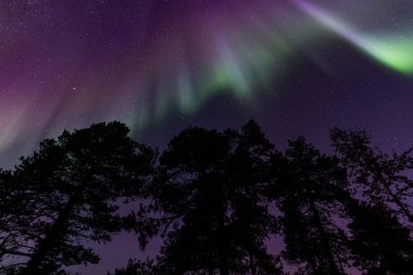 Northern lights in Kiruna, Sweden, reflecting on calm water in September with stars and forest. clipart