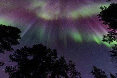 İsveç 'in Kiruna kentindeki kuzey ışıkları Eylül ayında sakin suları yıldızlar ve ormanlarla yansıtıyor..