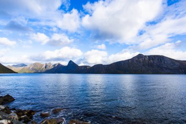 Norveç 'teki Senja Adası' nın sonbahar manzarası. Renkli yaprakları, dağları ve dingin fiyortları var..