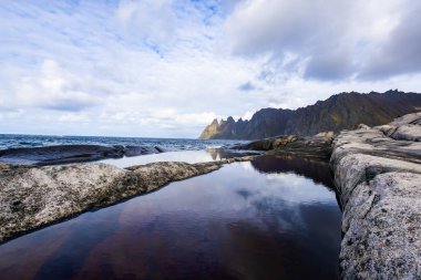 Norveç 'teki Senja Adası' nın sonbahar manzarası. Renkli yaprakları, dağları ve dingin fiyortları var..