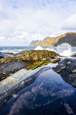 Norveç 'teki Senja Adası' nın sonbahar manzarası. Renkli yaprakları, dağları ve dingin fiyortları var..