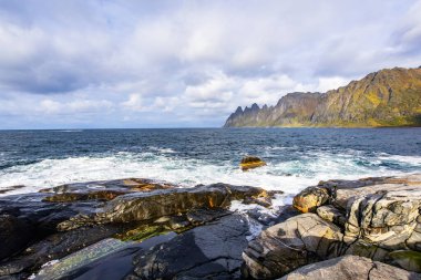 Norveç 'teki Senja Adası' nın sonbahar manzarası. Renkli yaprakları, dağları ve dingin fiyortları var..