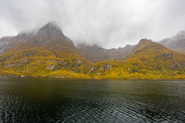 Lofoten Adaları, Norveç 'te sonbahar manzarası, renkli yeşillikler ve barışçıl fiyort içerir..