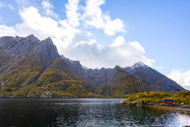Lofoten Adaları, Norveç 'te sonbahar manzarası, renkli yeşillikler ve barışçıl fiyort içerir..