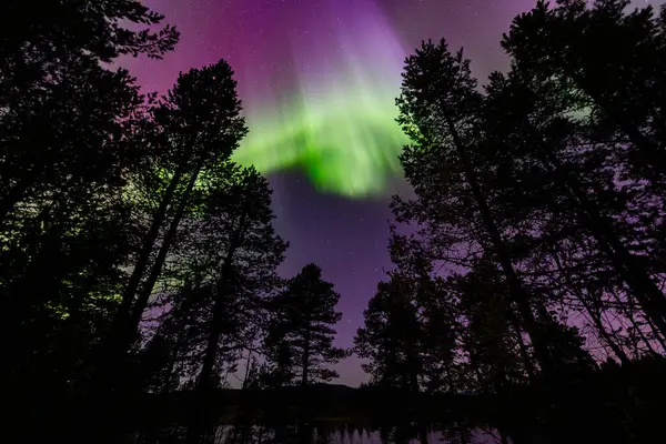 İsveç 'in Kiruna kentindeki kuzey ışıkları Eylül ayında sakin suları yıldızlar ve ormanlarla yansıtıyor..