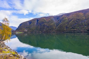 Norveç 'in Lustrafjorden kentindeki sonbahar manzarasında berrak su yansımaları, dağlar ve renkli yeşillikler yer almaktadır..