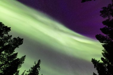 İsveç 'in Kiruna kentindeki kuzey ışıkları Eylül ayında sakin suları yıldızlar ve ormanlarla yansıtıyor..