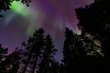 İsveç 'in Kiruna kentindeki kuzey ışıkları Eylül ayında sakin suları yıldızlar ve ormanlarla yansıtıyor..