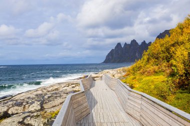 Norveç 'teki Senja Adası' nın sonbahar manzarası. Renkli yaprakları, dağları ve dingin fiyortları var..