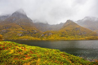 Lofoten Adaları, Norveç 'te sonbahar manzarası, renkli yeşillikler ve barışçıl fiyort içerir..