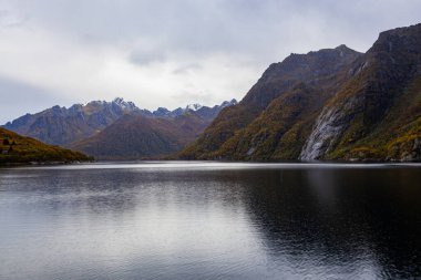 Lofoten Adaları, Norveç 'te sonbahar manzarası, renkli yeşillikler ve barışçıl fiyort içerir..