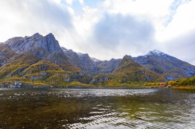 Lofoten Adaları, Norveç 'te sonbahar manzarası, renkli yeşillikler ve barışçıl fiyort içerir..