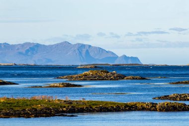Lofoten Adaları, Norveç 'te sonbahar manzarası, renkli yeşillikler ve barışçıl fiyort içerir..