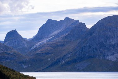 Lofoten Adaları, Norveç 'te sonbahar manzarası, renkli yeşillikler ve barışçıl fiyort içerir..