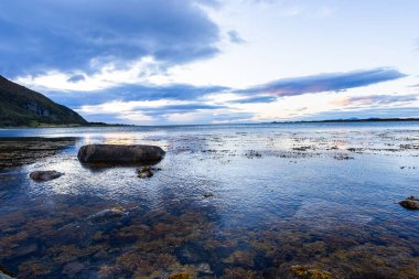 Lofoten Adaları, Norveç 'te sonbahar manzarası, renkli yeşillikler ve barışçıl fiyort içerir..