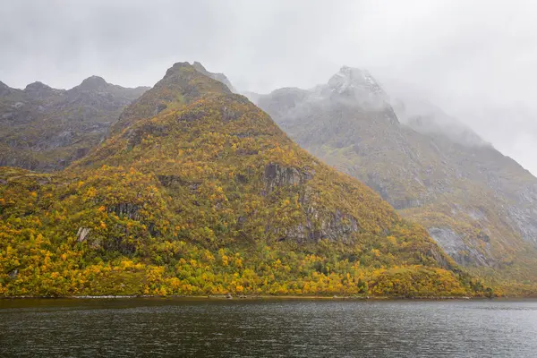 Lofoten Adaları, Norveç 'te sonbahar manzarası, renkli yeşillikler ve barışçıl fiyort içerir..