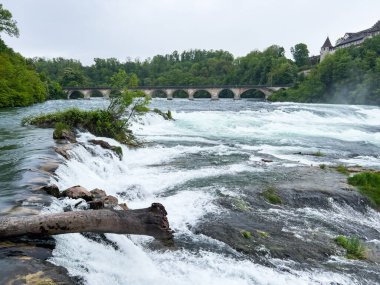 Springtime at Rhine Falls in Neuhausen am Rheinfall, Switzerland, featuring powerful waterfalls and scenic surroundings. 4K UHD clipart