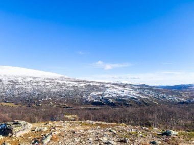 Norveç 'in güneyindeki Dovrefjell Ulusal Parkı' nda sonbahar manzarası, kar ve bitki örtüsüyle çevrili.