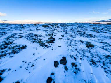 Norveç 'in güneyindeki Dovrefjell Ulusal Parkı' nda sonbahar manzarası, kar ve bitki örtüsüyle çevrili.