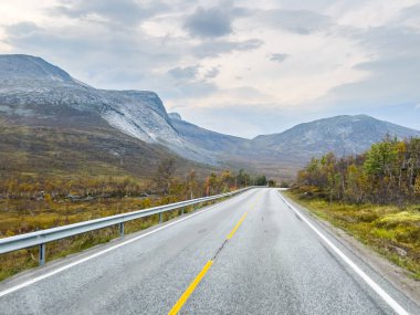 Norveç 'in rengarenk sonbahar manzarasında dolambaçlı bir rota, baş döndürücü doğal güzelliğin ortasında sakin bir sürüş deneyimi sunuyor.