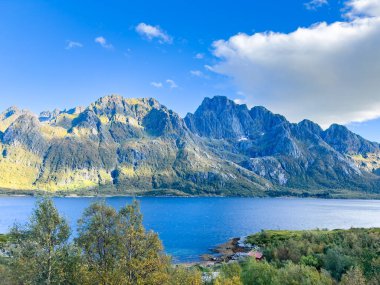 Lofoten Adaları, Norveç 'te sonbahar manzarası, renkli yeşillikler ve barışçıl fiyort içerir..