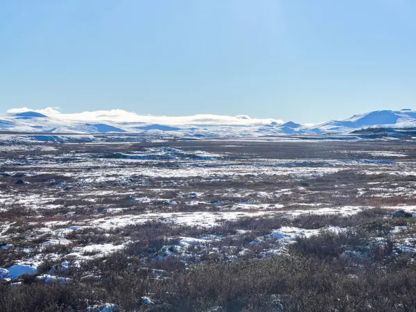 Norveç 'in güneyindeki Dovrefjell Ulusal Parkı' nda sonbahar manzarası, kar ve bitki örtüsüyle çevrili.