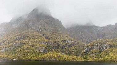 Norveç, Lofoten Adaları 'ndaki sakin bir fiyorda yağmur yağar.