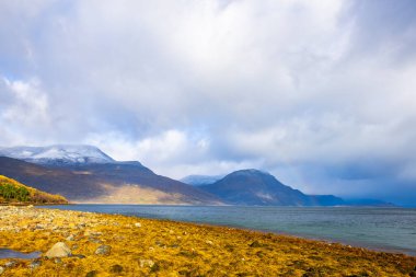 Norveç 'teki Lyngen Alpleri' nin sonbahar manzarası. Karlı zirveleri, dramatik bulutları ve sakin fiyortları var..